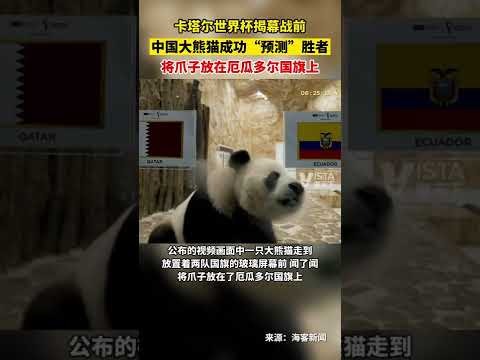 罗本和卡西,斩获贝肯鲍,尔杯双重荣,澳客,澳客娱乐,澳客APP,澳客下载,澳客在线,澳客官网