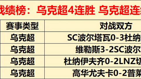 张冰曝光：戴琳借王大雷名头向球迷筹款聊天记录